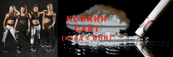 ешки Алексин