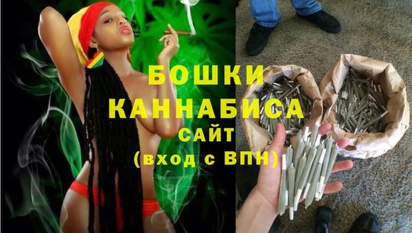 ешки Алексин
